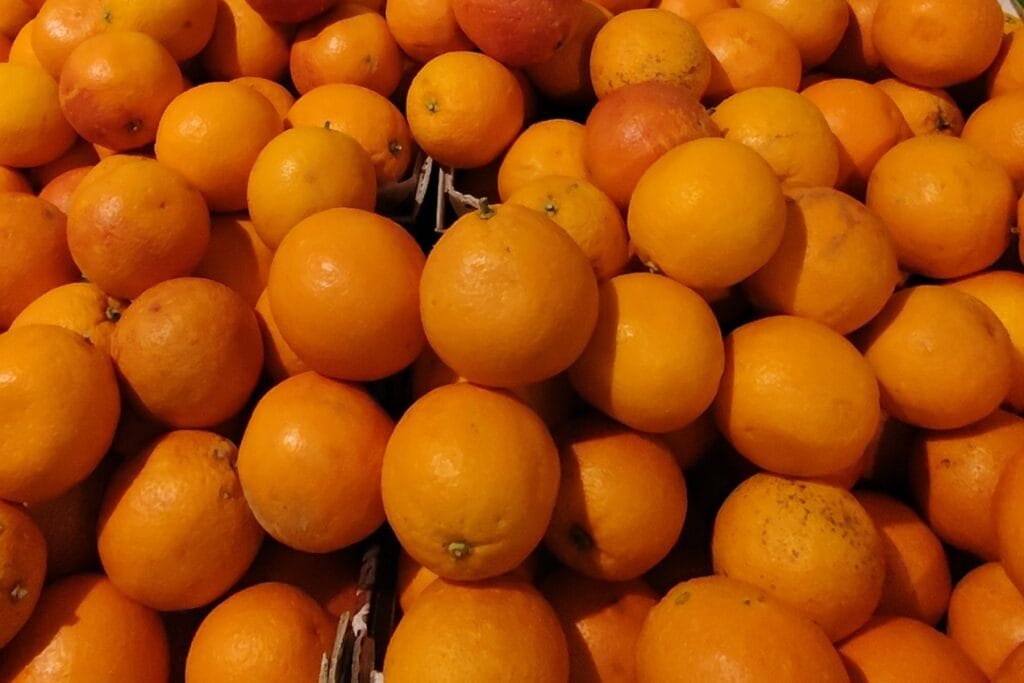 Top 10 "Health benefits of Oranges" in 2025