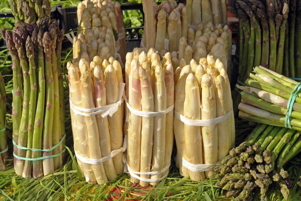 "The White Gold of Spring Why Fine Dining Loves "White Asparagus" 2025.