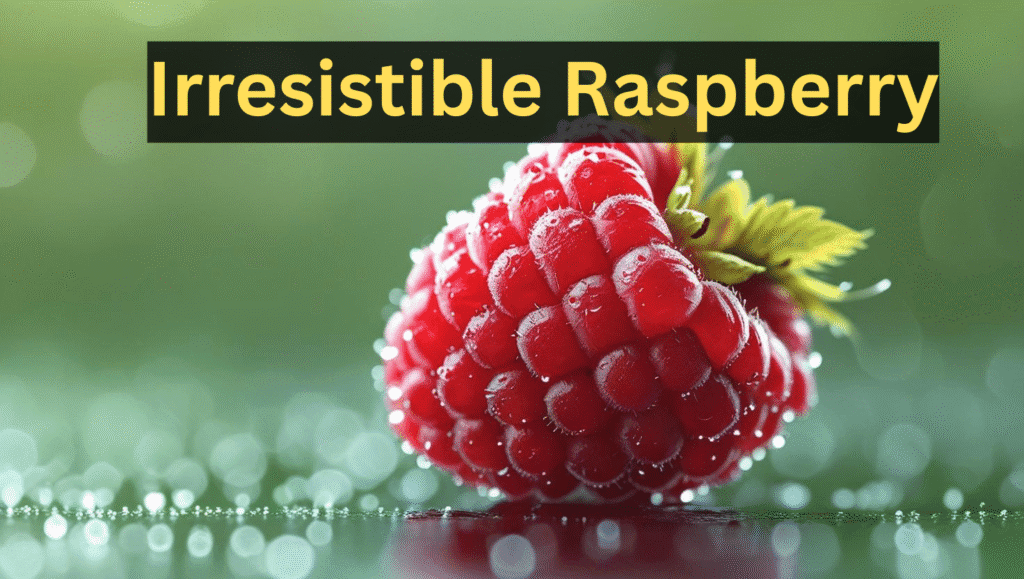 (Irresistible Raspberry)